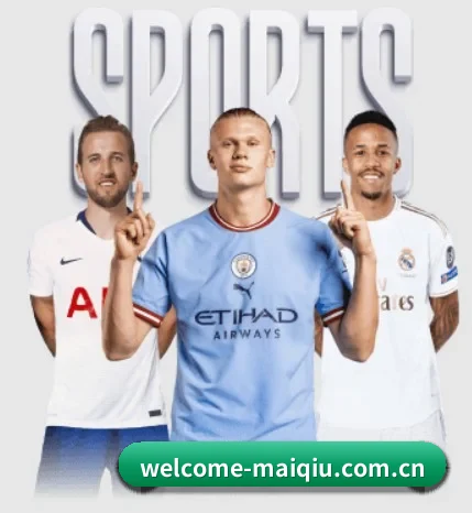 welcome-maiqiu.com.cn的故事
